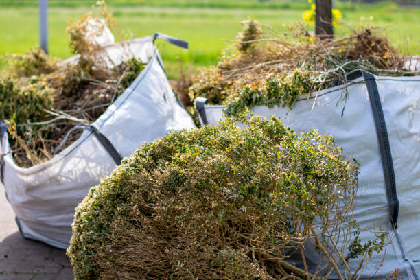 Trash Removal Near Me in Tool, TX